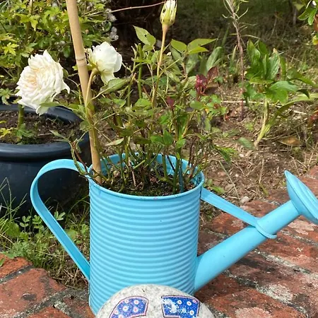Cosy Double In A Seaside 홈스테이 Crafthole
